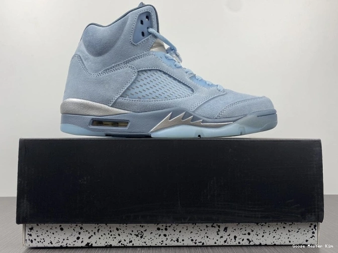 Bluebird 5 Air Jordan Retro DD9336-400 (W) 0529
